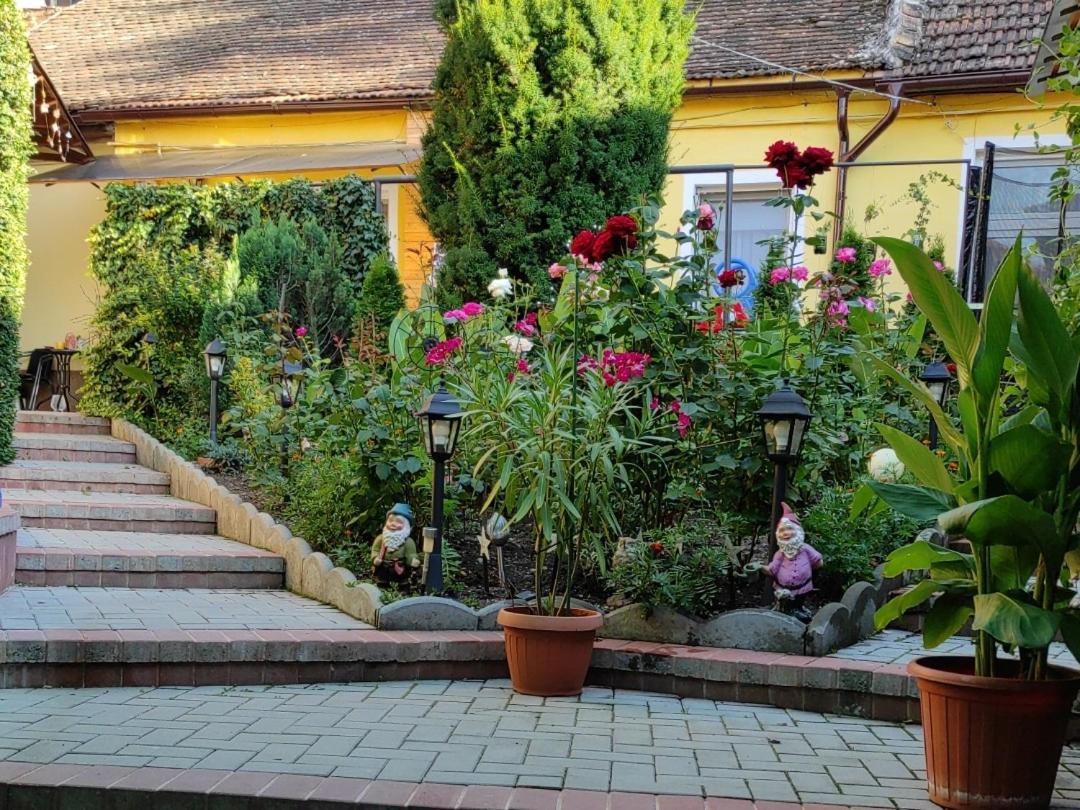 Color Home Hermannstadt Luaran gambar